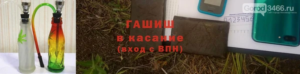 гидра Вязники