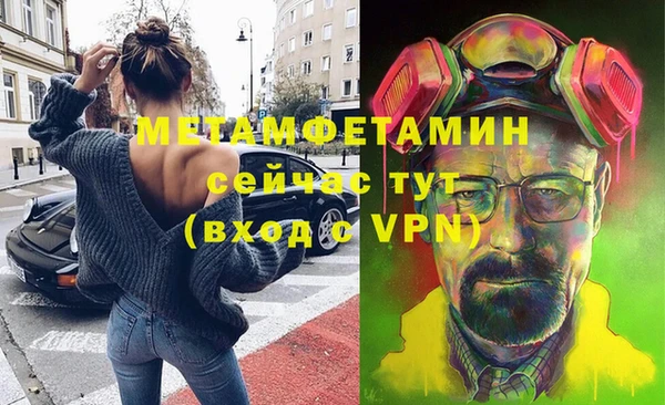 прущие грибы Волоколамск