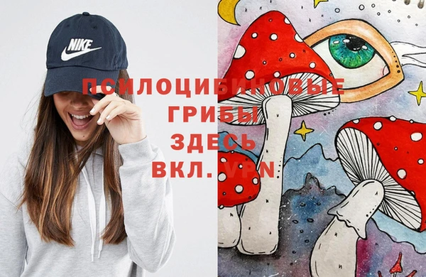 кокс Вяземский