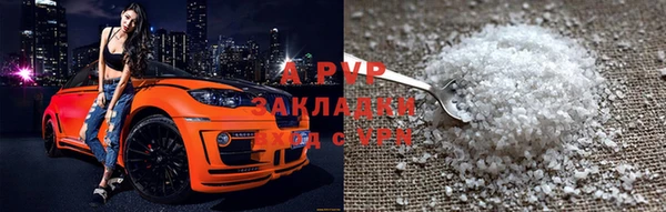прущие грибы Волоколамск