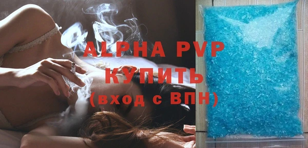 гашик Вязьма