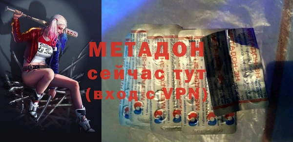 прущие грибы Волоколамск