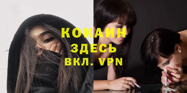 прущие грибы Волоколамск