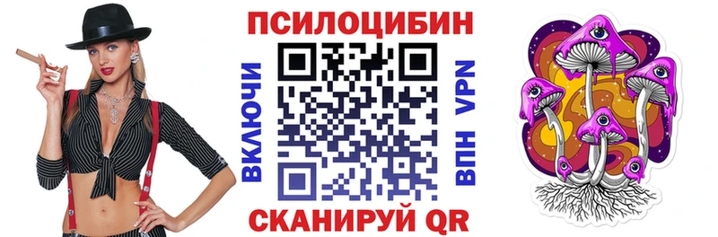 МЕГА зеркало  даркнет сайт  Карачев  Псилоцибиновые грибы Psilocybine cubensis 