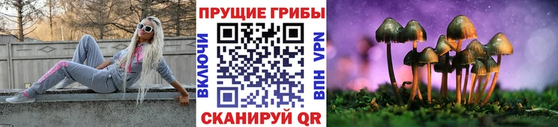 Галлюциногенные грибы GOLDEN TEACHER Карачев